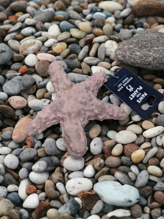 Starfish Recycled Rubber Dog Licky Toy