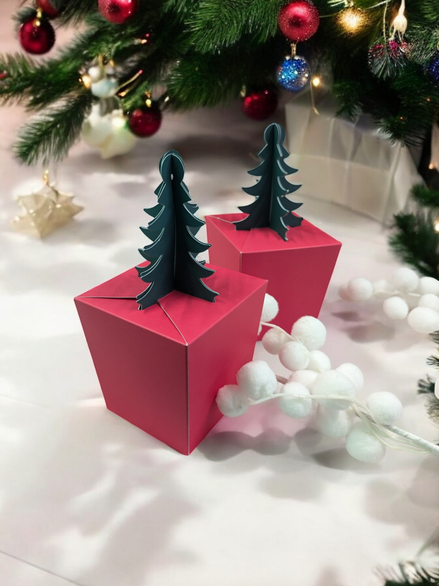 Pablo's Christmas Tree Gift Box