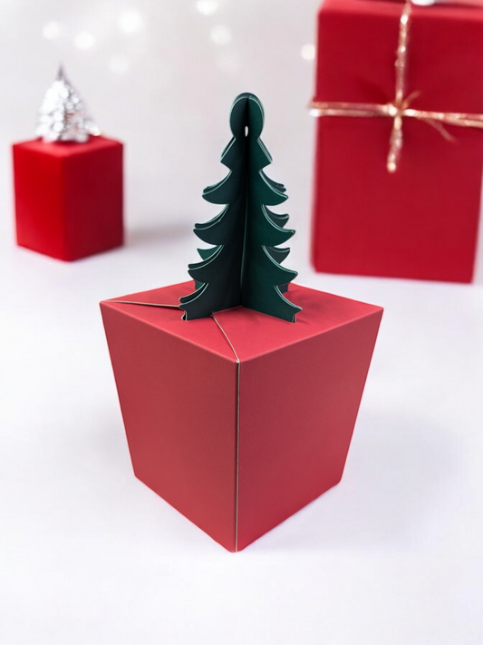 Pablo's Christmas Tree Gift Box