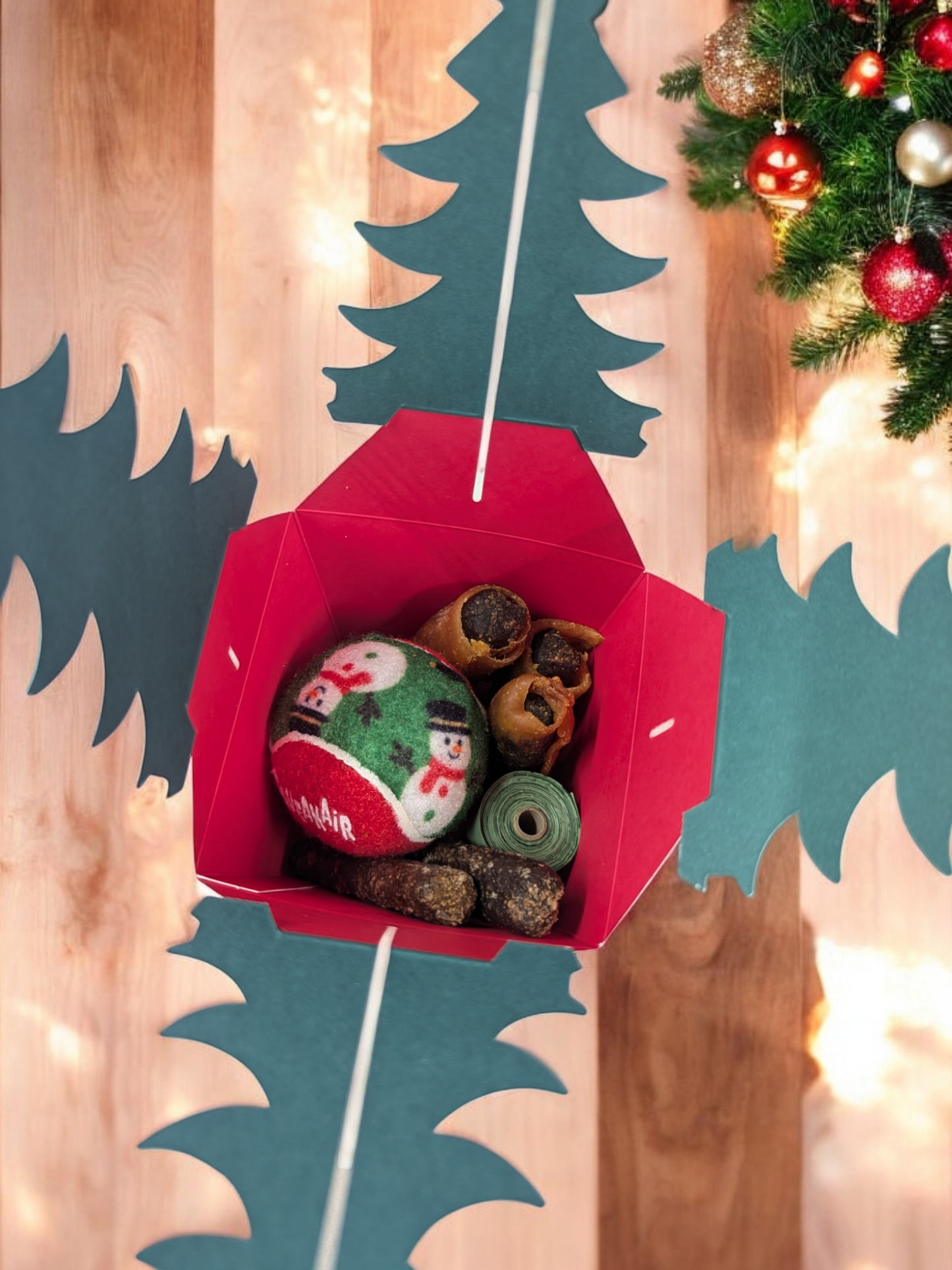 Pablo's Christmas Tree Gift Box