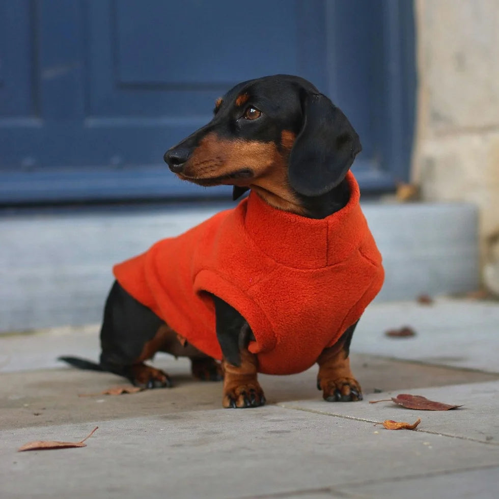 Dog Fleece Snuggle Jumpers - Hugo&Ted