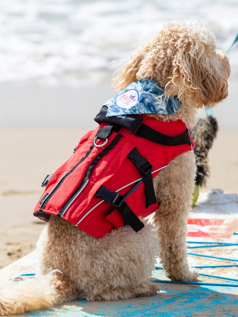 Red Paddle Co Dog Life Jackets