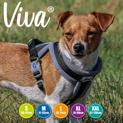 Ancol Viva Padded Harness