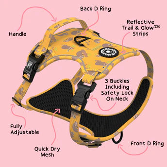 BAILEY & COCO - Trail & Glow Harness DON'T HURRY, BE HAPPY