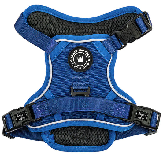 BAILEY & COCO - Trail & Glow Ink Blue Harness