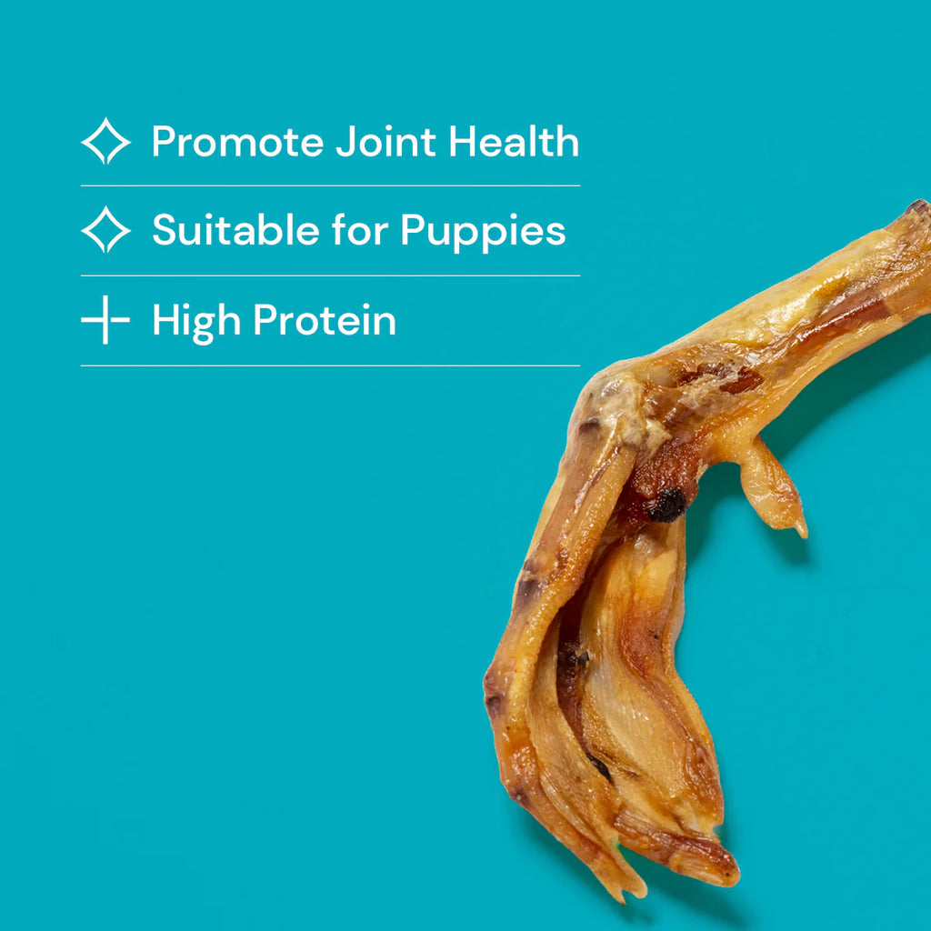 Healthy duck feet promote joint health suitable for puppies and high in protein dental health available in whitley bay