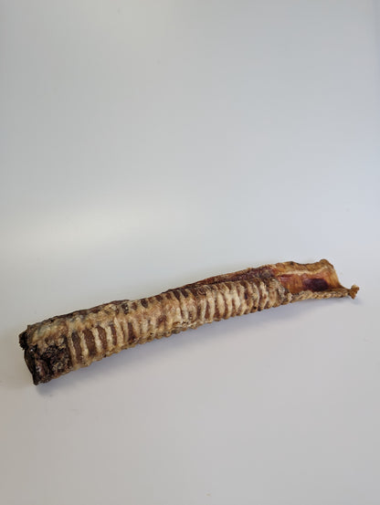 Beef Trachea