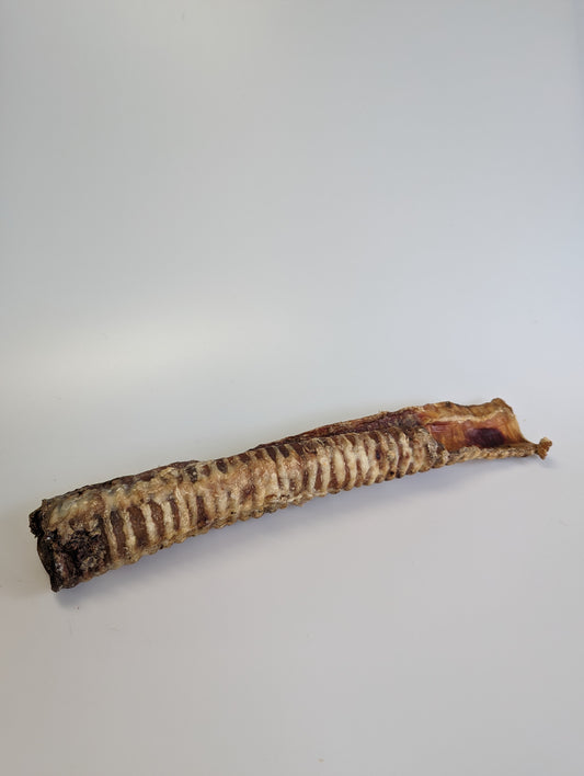 Beef Trachea