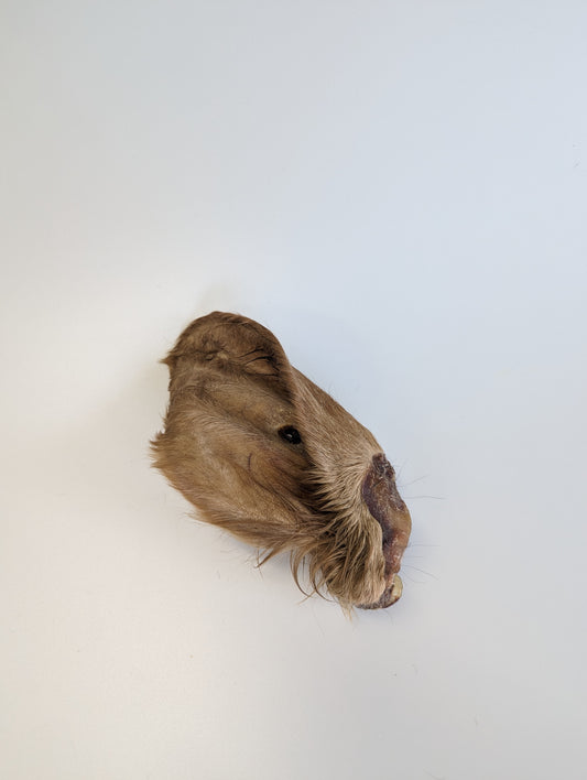 Dried Hairy Cow Ears