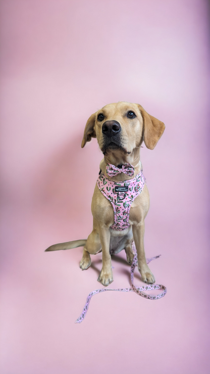 Adjustable Harness - Mistletoe Pink