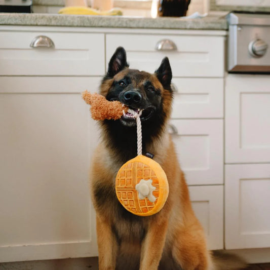 Waffle plush dog toy, with rope attachment
