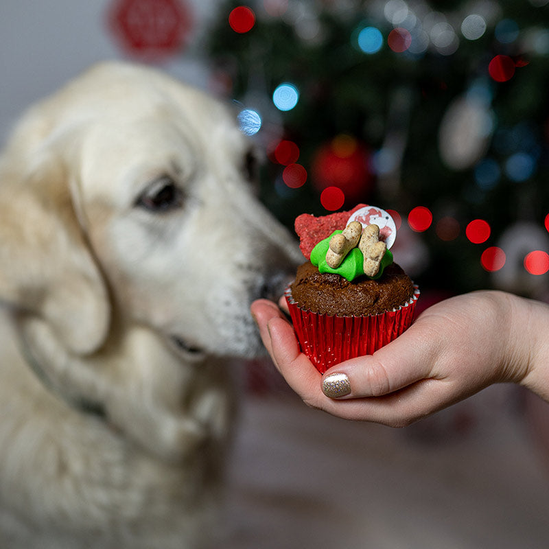 Woofmas Woofin - The Barking Bakery