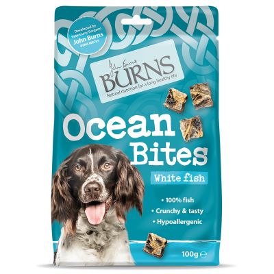 Burns ocean bites - white fish
