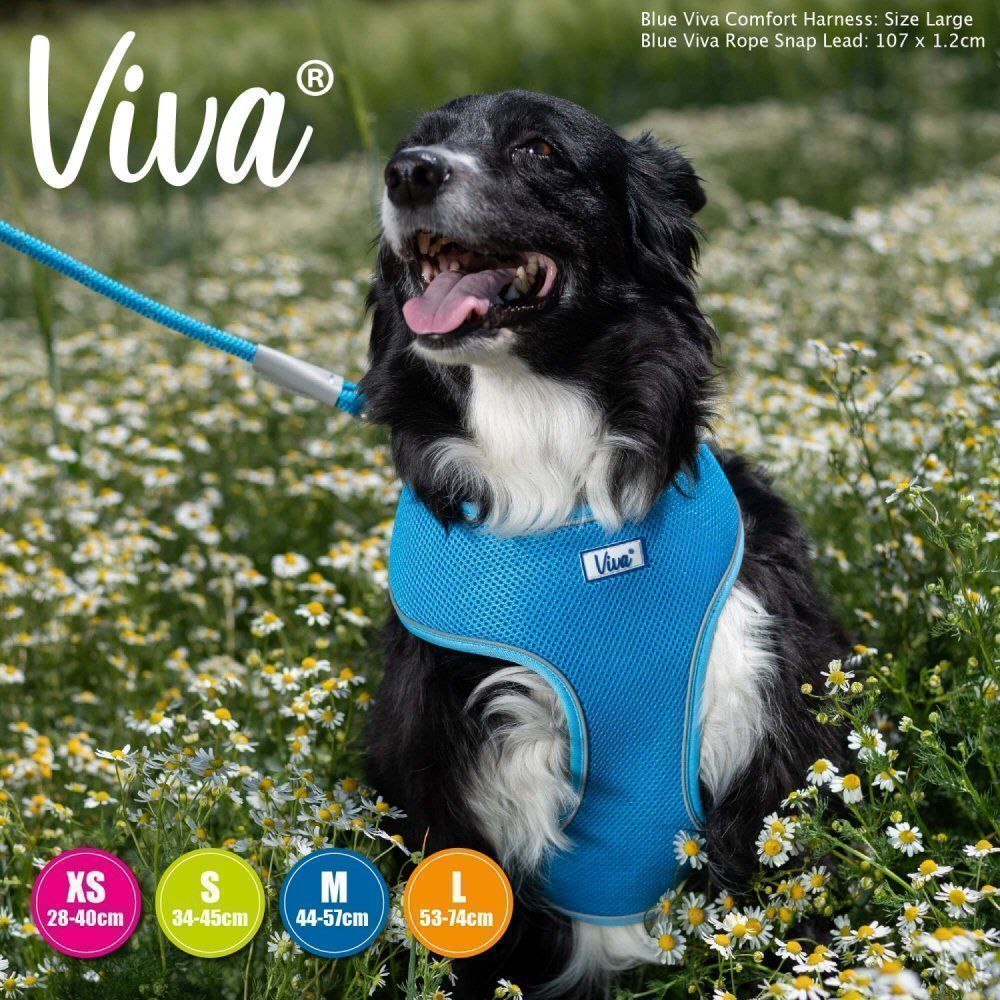 Ancol Viva Comfort harness (Blue or Black)