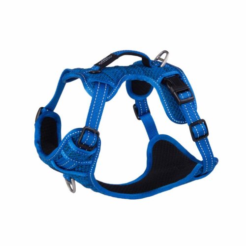 Rogz Utility Explore Harness -  Blue